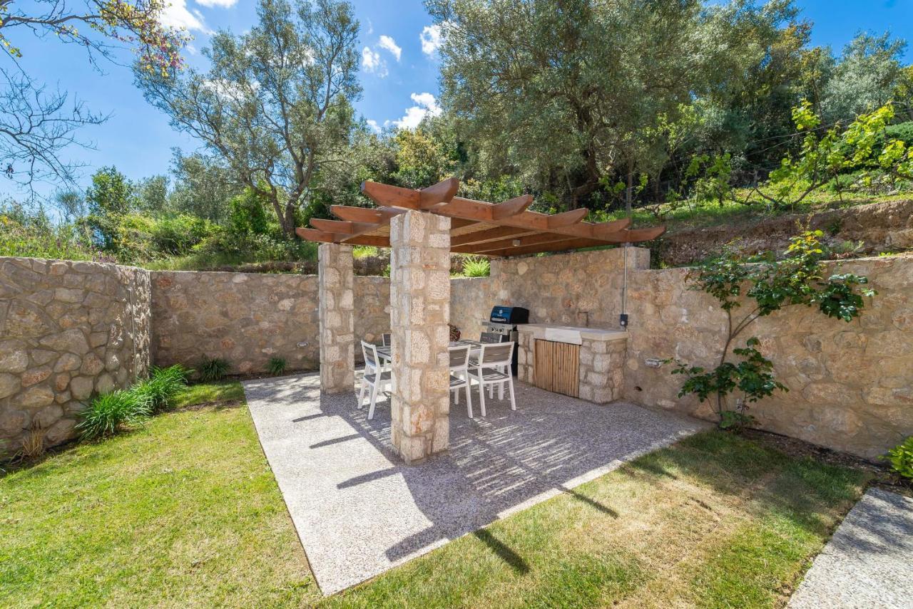 31 Blue Ionian Villas Apolpaina Esterno foto